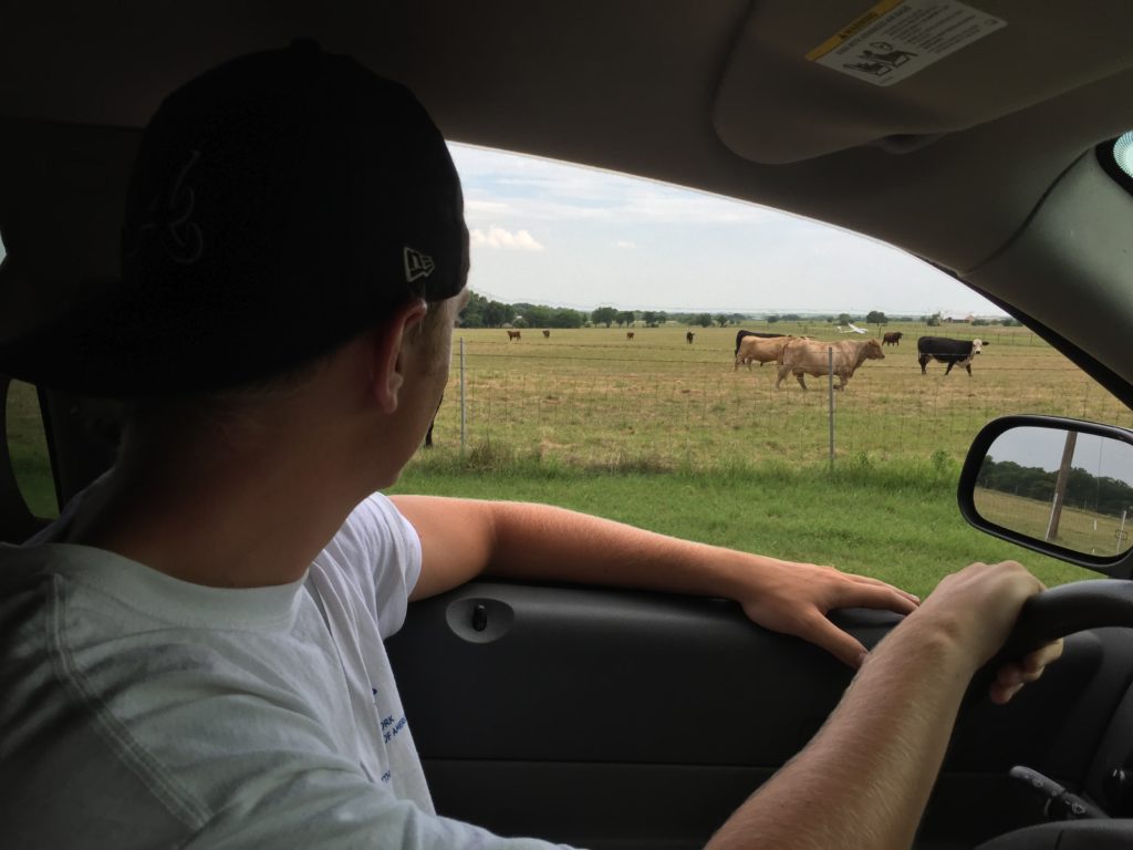 Can you spot the glider?