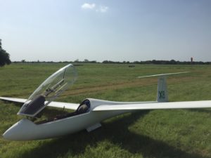 There's always a wisp watching over your field...